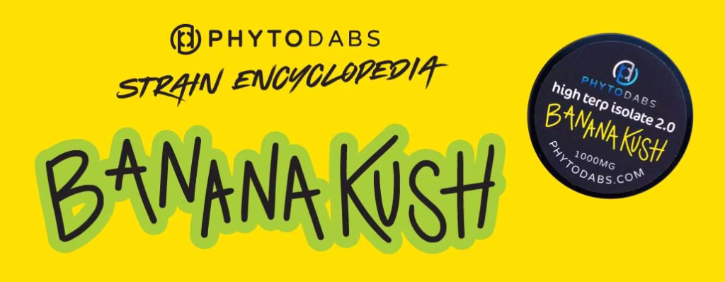 PhytoDabs Strain Encyclopedia- All About the Banana Kush Strain