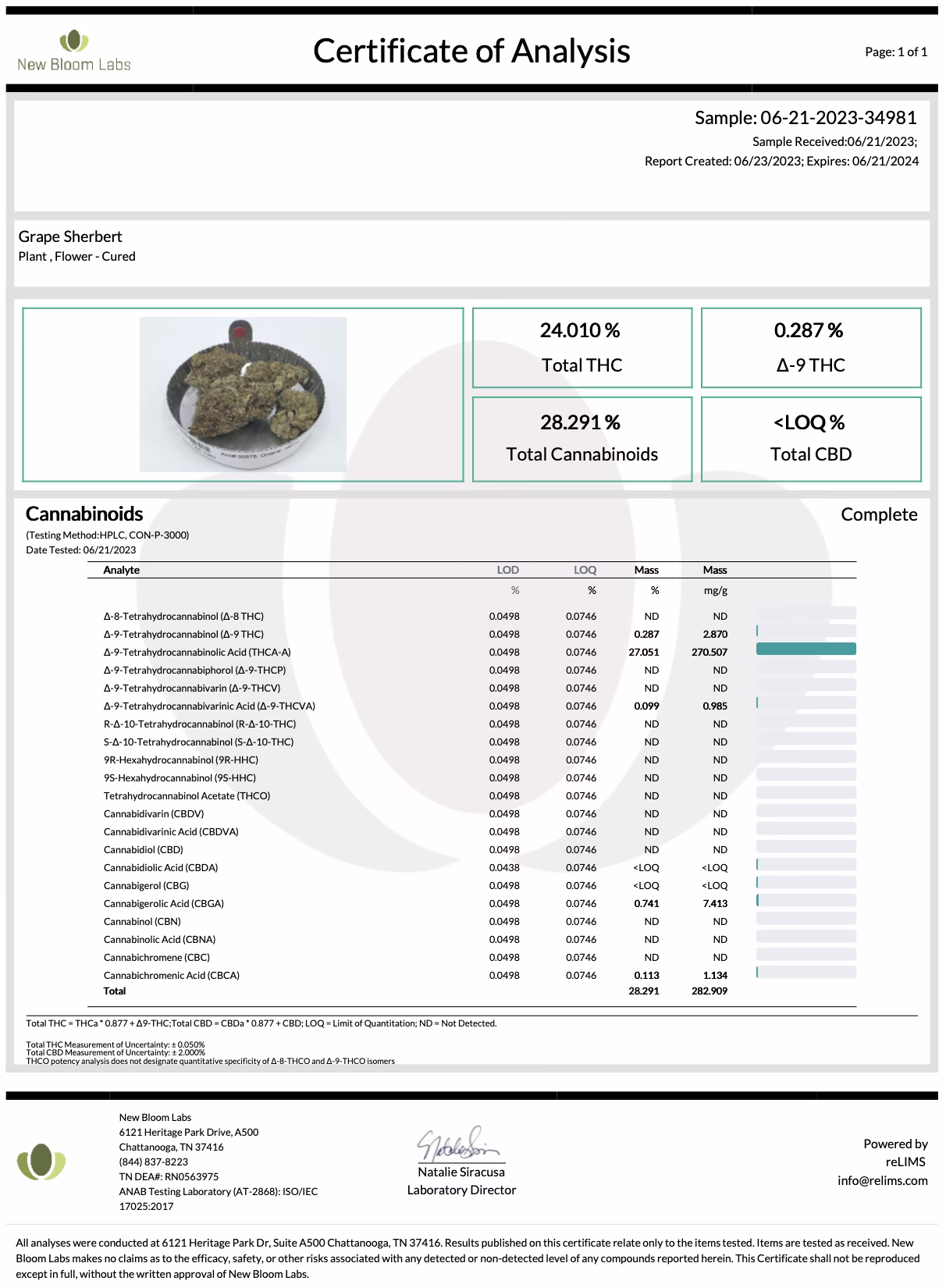Grape Sherbet COA Test Results