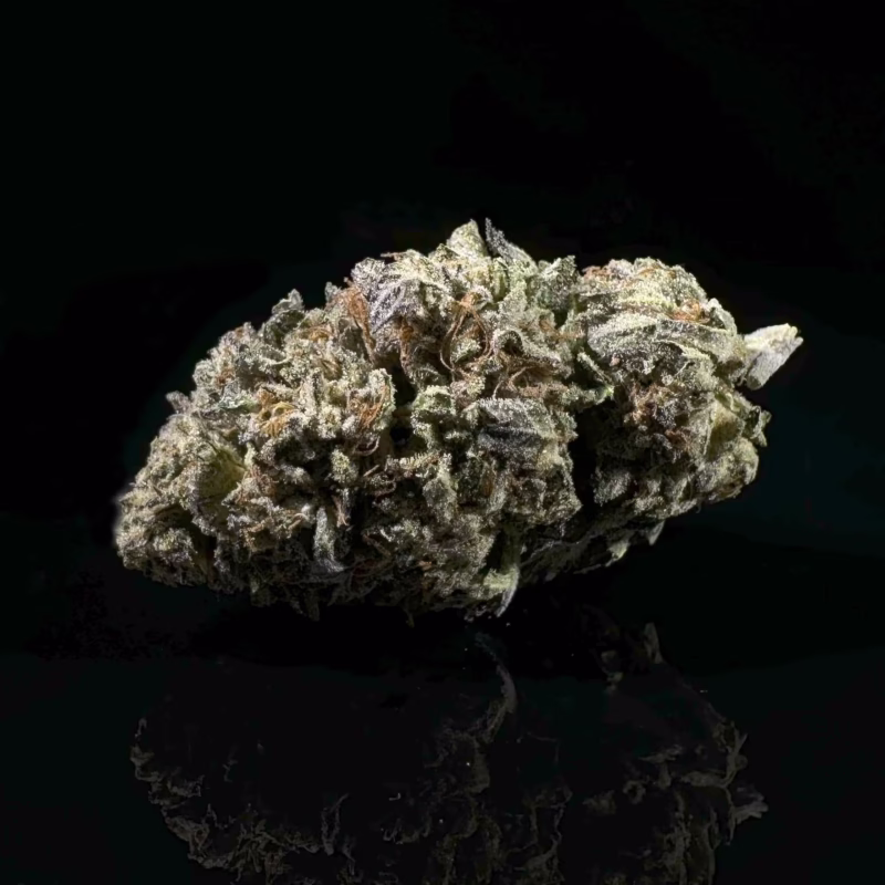 Grape Sherbet - Cured THCA Flower 27.05% - PhytoFamily Farms Grown **SILVER SHELF**