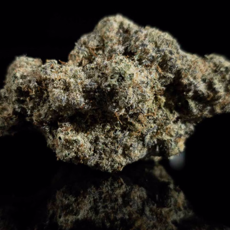 Black Ice - Cured THCA Flower 27.16% - PhytoFamily Farms Grown **GOLD SHELF**